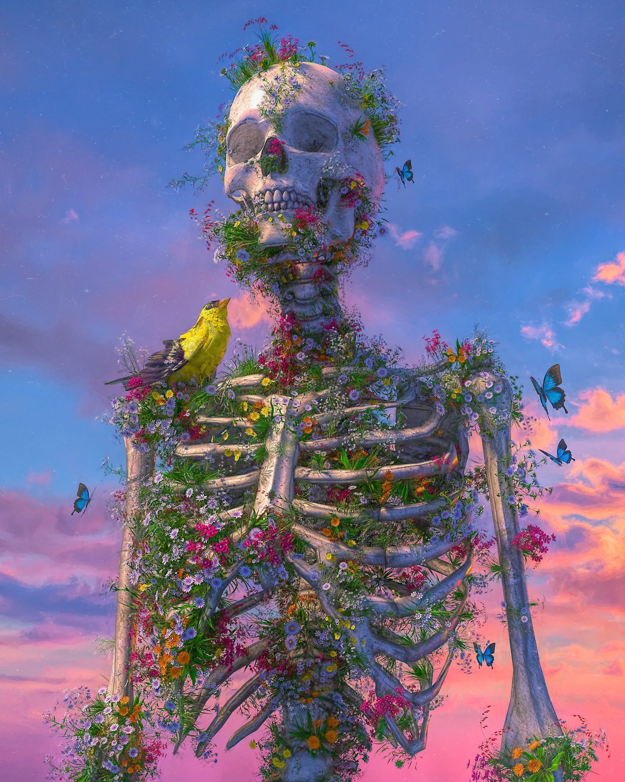 健之佳：选举金玉梅女士为公司第<六>届董事会职工董事