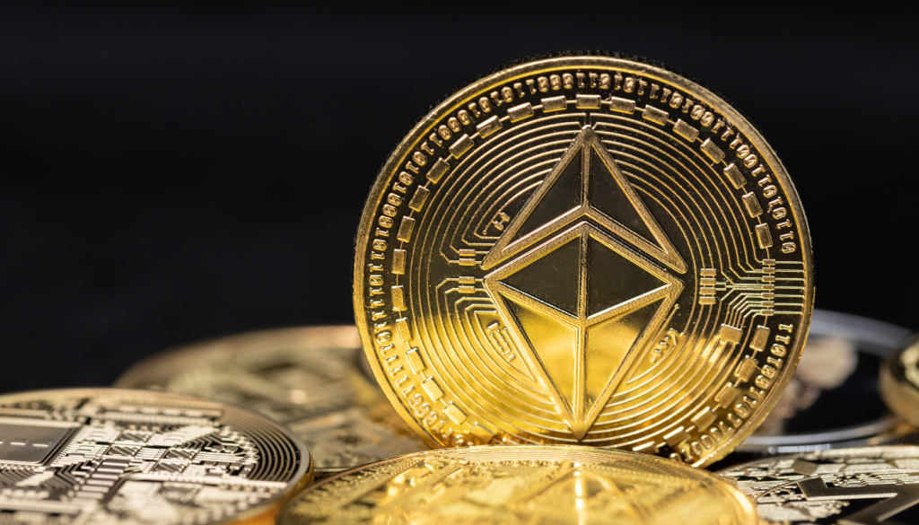 诺瓦.星.云2025年中期拟10派5.6元 派发现金红利约5073.69万元