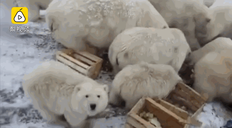 重要新规:！证监会发布