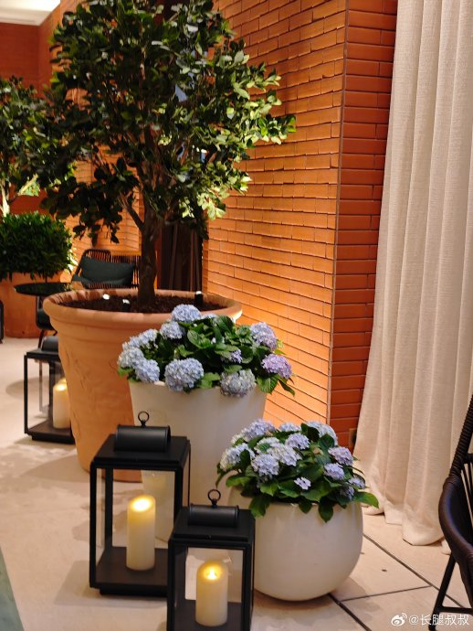 消息称苹果 iPhone 17 标准版 / Pro Max 不涨价，Pro 涨价 100 美元起步 256GB 存储