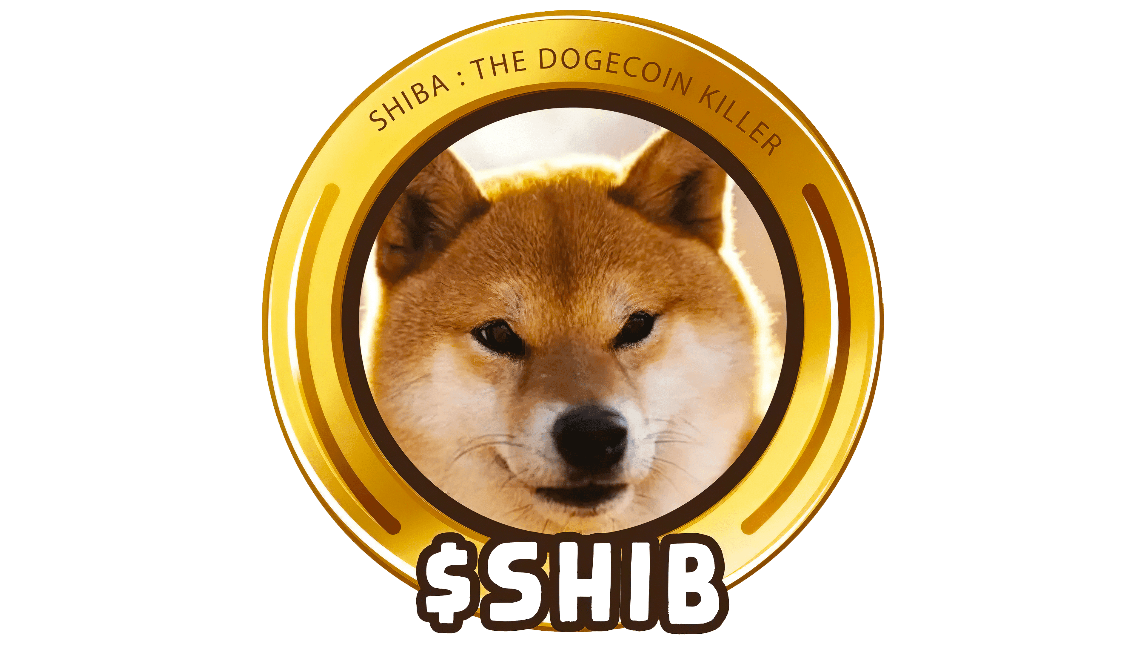 前联合国!教科文组织总干事伊琳娜·博科娃：企业发展的终极目标是回馈社会