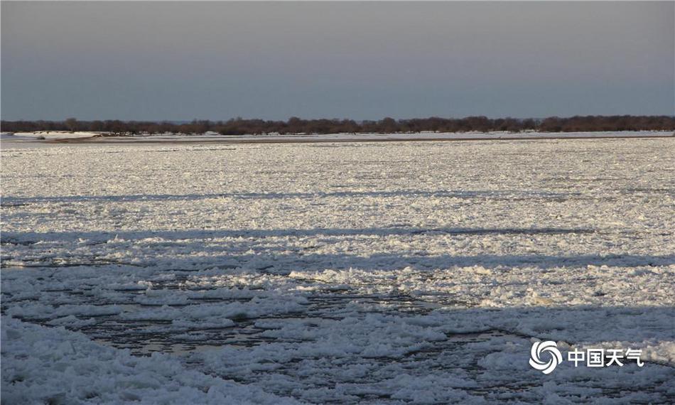 南山!控股：截至11月10日股东人数50518户