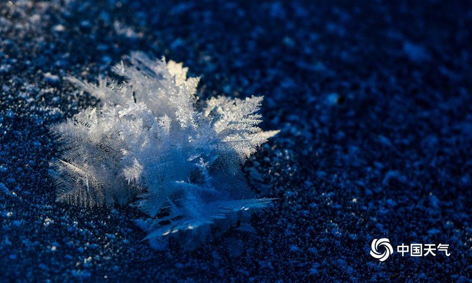 1‘1’5亿;全额付款给华为，买下10%股份！