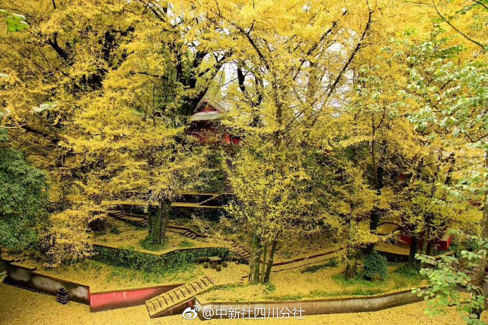 国投丰;乐：12月1日召开业绩说明会，投资者参与