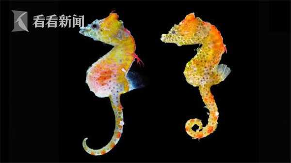 “千元股<”>寒武纪，三季报出炉！