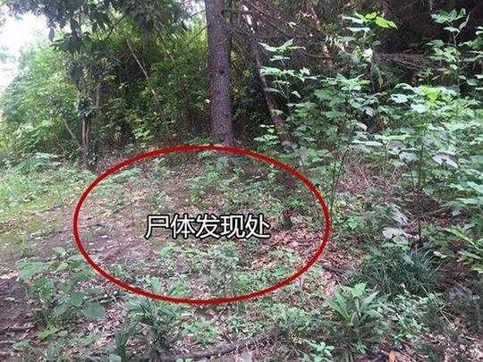 比音.勒芬在“<入>窄门”还是“把路走窄”？