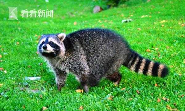 福达—股份：1707000股限售股将于10月13日上市流通