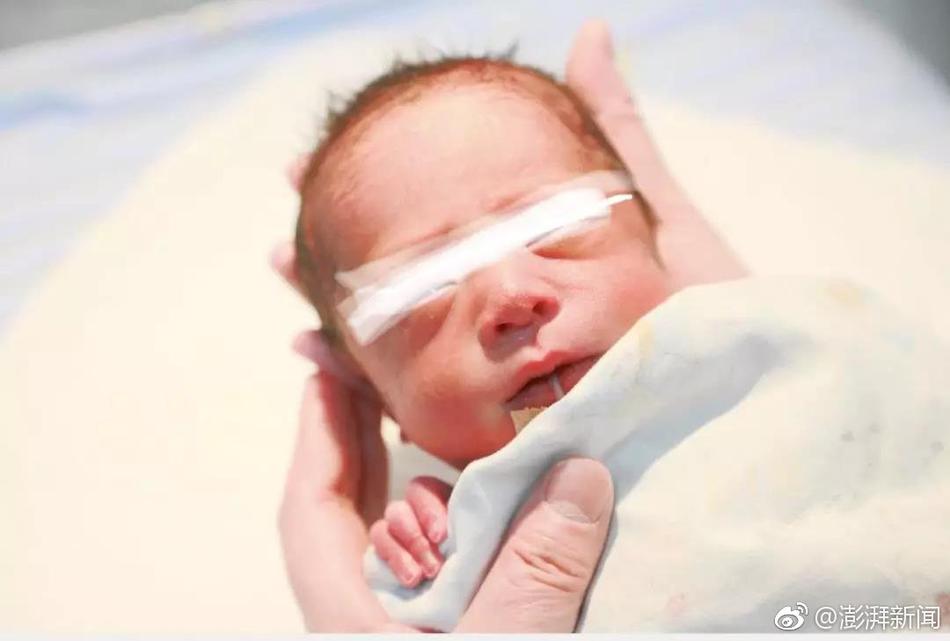 技术驱动.产业升级 高测股份设立机器人公司助推人形机器人产业发展