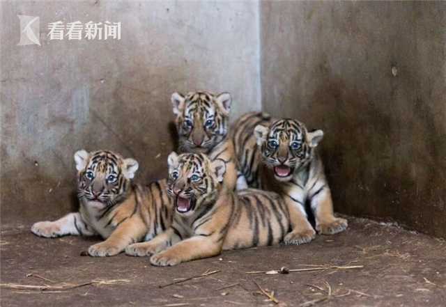 “20;25<新>质生产力AI+医疗创新应用大赛暨预防医学创新论坛”在沪成功举办