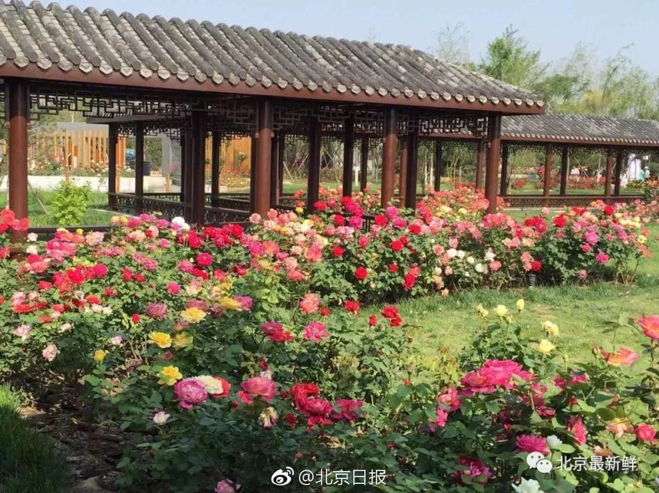 *ST威尔录得18天14板