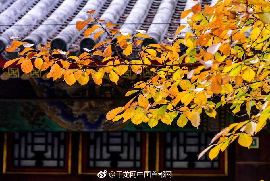 征.和.工业股价创新高