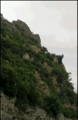 华西股,份：有关公司未;来发展计划事项，一切信息请以公司在法定信息披露媒体发布的公告为准