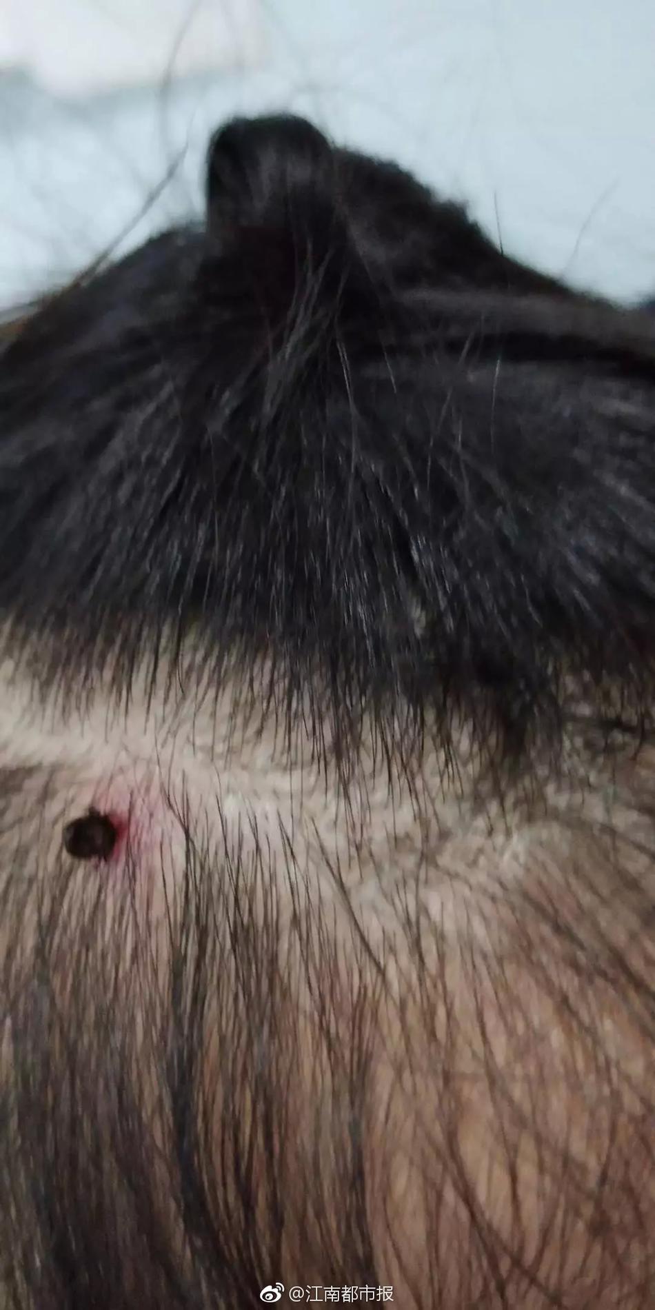 纽:约“老钱”家族的至暗时刻：鲁丁百年帝国突遇血案