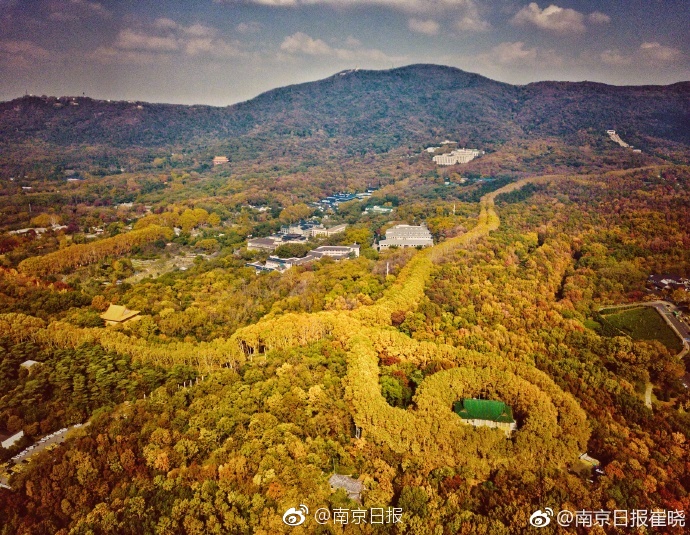 免费学前;教育，解读来了！给谁免？免多少？