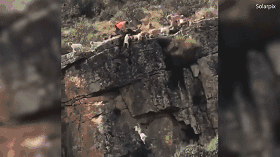 儒竞.科技：选举邱海陵先生为公司第二届董事会职工代表董事