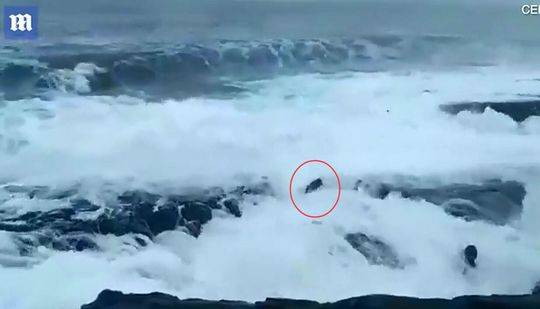 李:峥云南国际信?托首席合规官任职资格获批