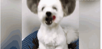 经纬辉!开第三:季度亏损2335万元 营收降37.3%