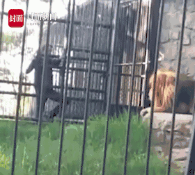 印‘度’据悉接近与美国敲定贸易协议 但强调不会仓促签署