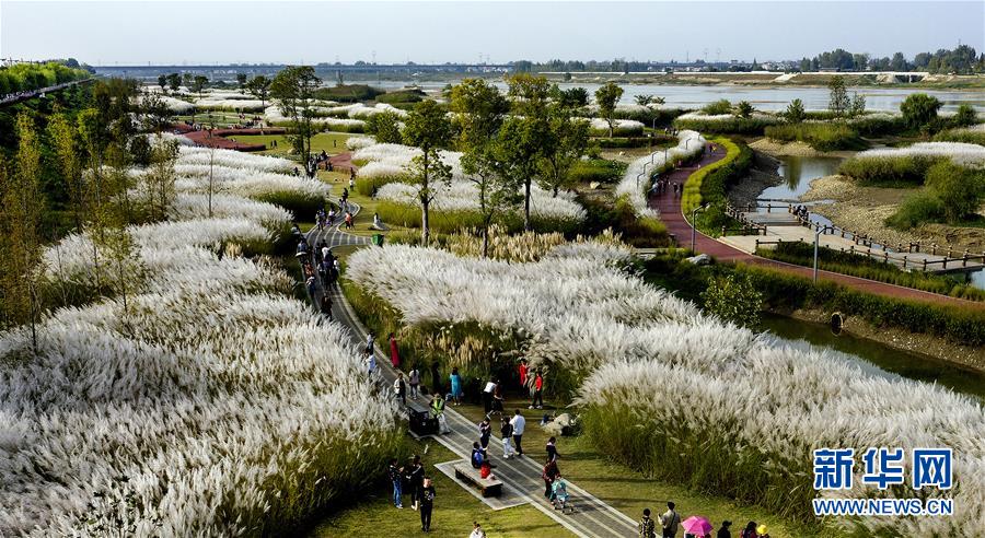 药明.康德完成7380万股H股配售 募资净额76.47亿港元