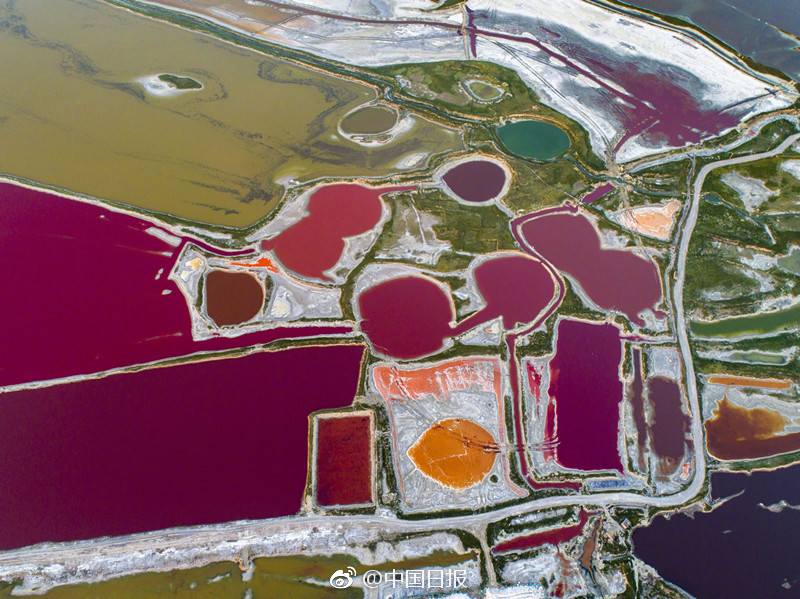 新光?光.电：公司董事长康为民解除留置