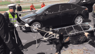 【华创汽车·深度】沪光股份：汽车线束龙头之“光”