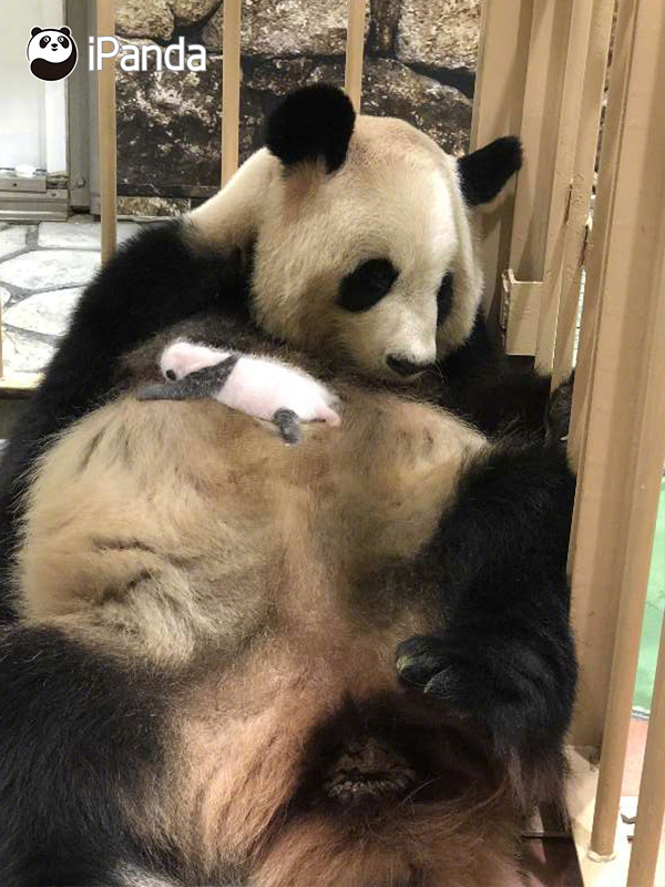 互联网电商;行业CFO薪资PK：壹网壹创80后CFO周维学历仅为大专、学历业内垫底