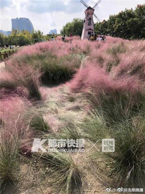 亿道‘信’息：在F‘P’V眼镜及相关沉浸式全景近眼显示及低延迟头控随动技术领域已完成相关软硬件技术储备