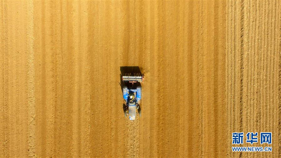 华虹公司!“20cm”涨停，成交额超70亿元