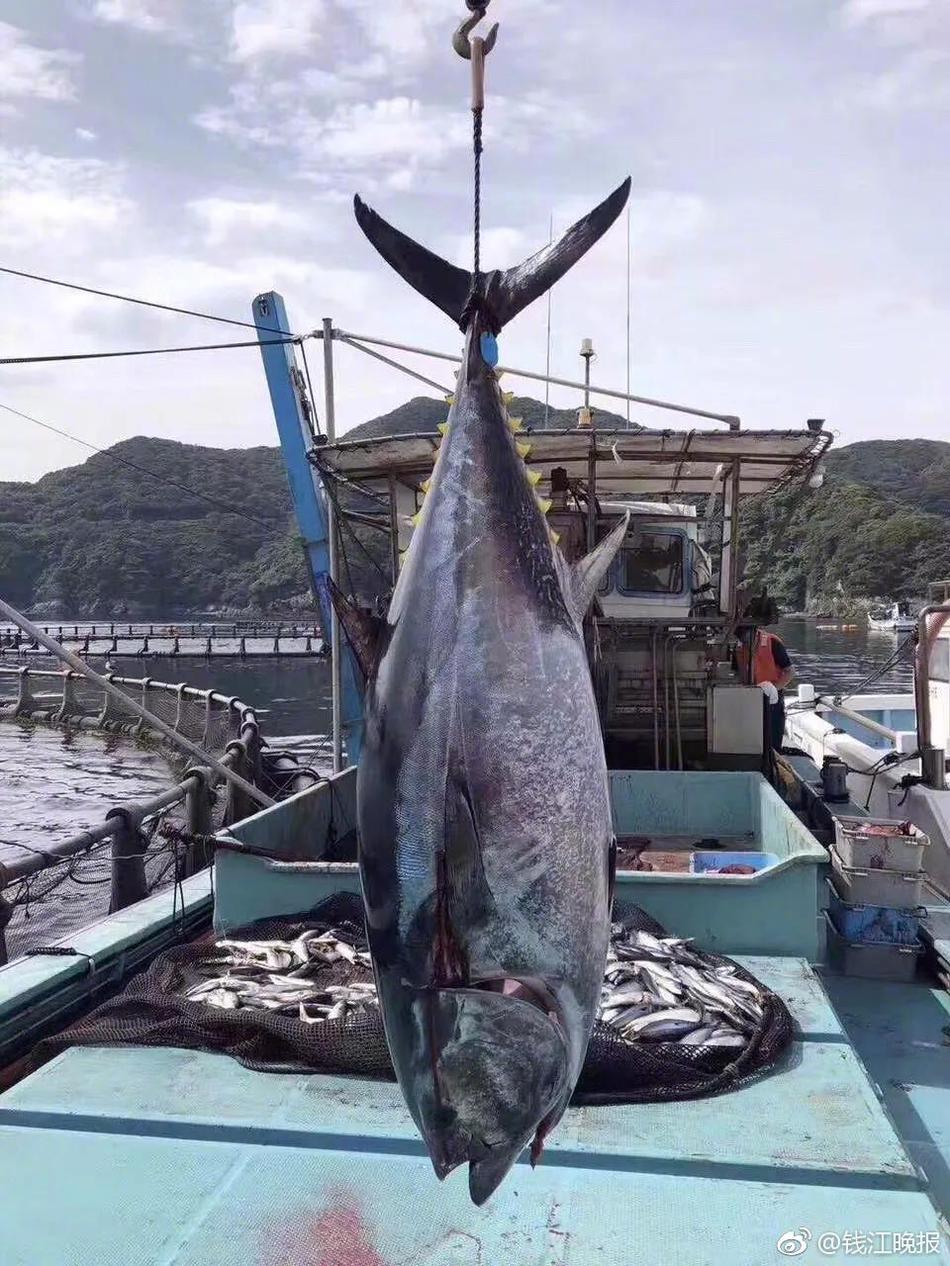 中信里昂：,维持<安>踏体育目标价116港元 评级“跑赢大市”
