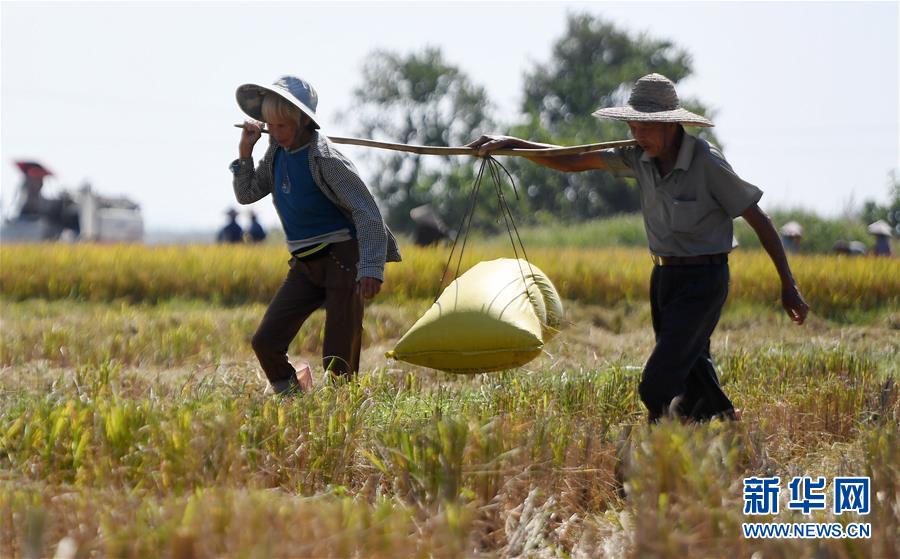10,月24日.财经早餐：地缘避险需求再起支撑金价，美制裁俄罗斯原油企业，油价创两周最高