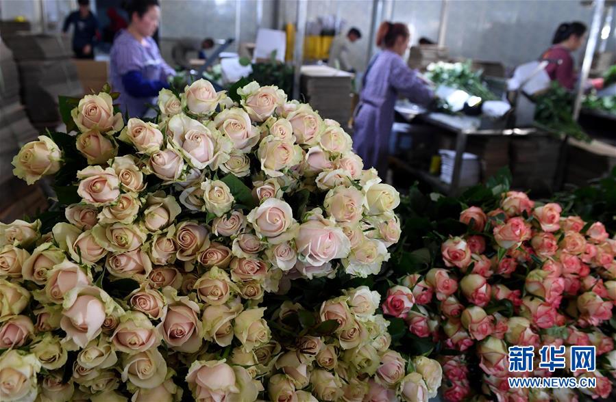 【:兴·公告】关于深交所“思泉新材”“*ST宇顺”重点监控证券交易的风险提示