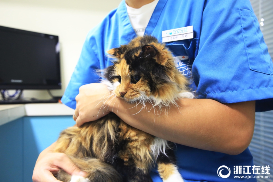 中信证券‘大’宗交易成交651.07万股 成交额1.67亿元