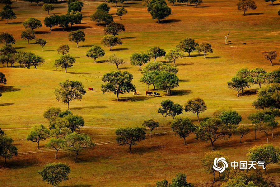 【:兴,证策略张启尧团队】“健康牛”的三个特征