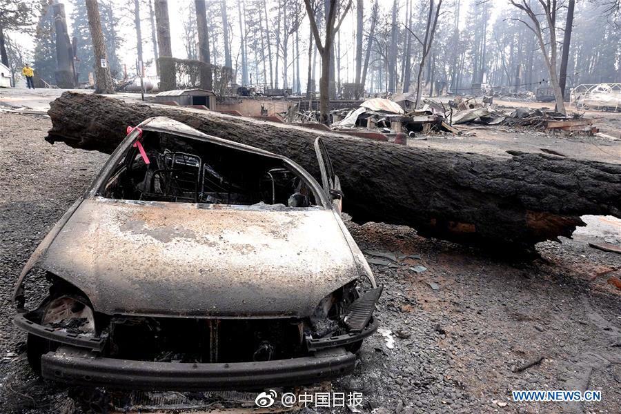 10家—公司提前预告前三季度业绩