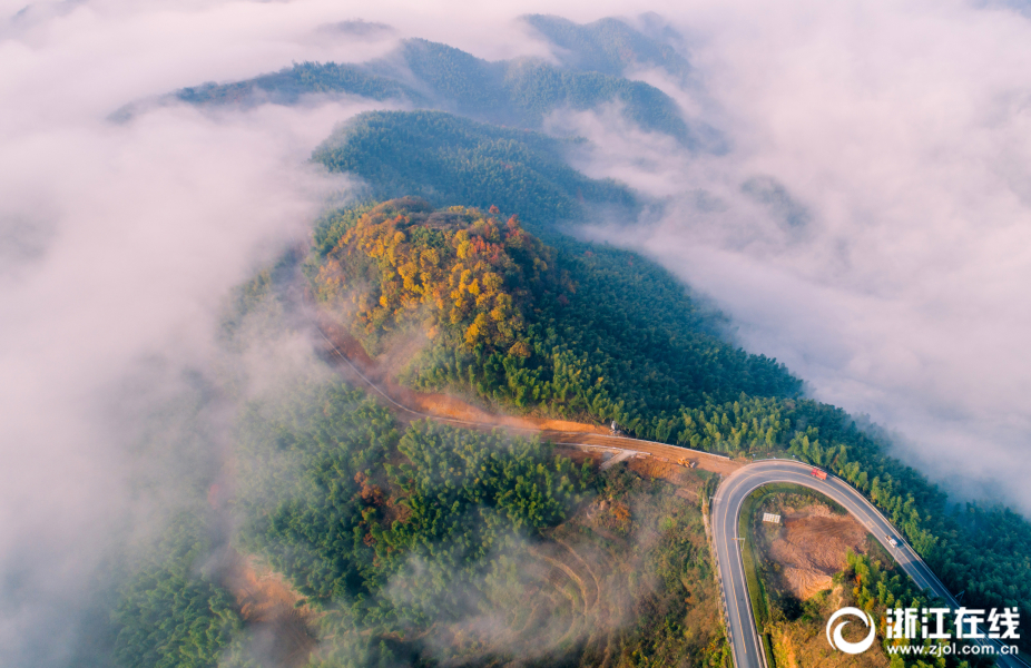 楚环科技：截至—2025年8月20日公司股东人数为8292户