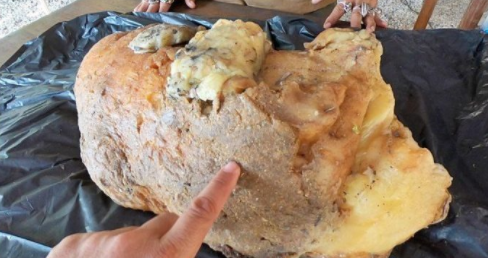 凌—云光!8月18日大宗交易成交491.96万元