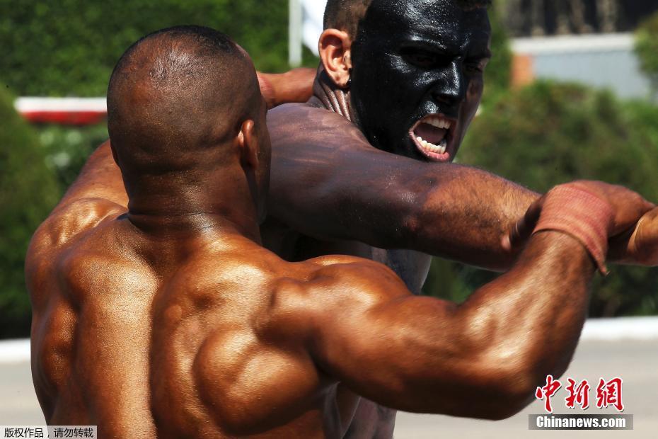 消息称三—星是iPhone 17系列主要OLED屏供应商 在已下达订单中占比过半