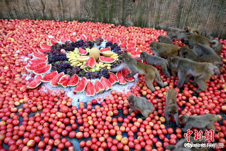 东海期?货：玉米低估值买盘增强，继续关注新季度开秤行情