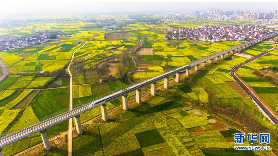 突发！龙<大>美食控股股东751万股遭司法冻结，放弃收购五仓农牧股权