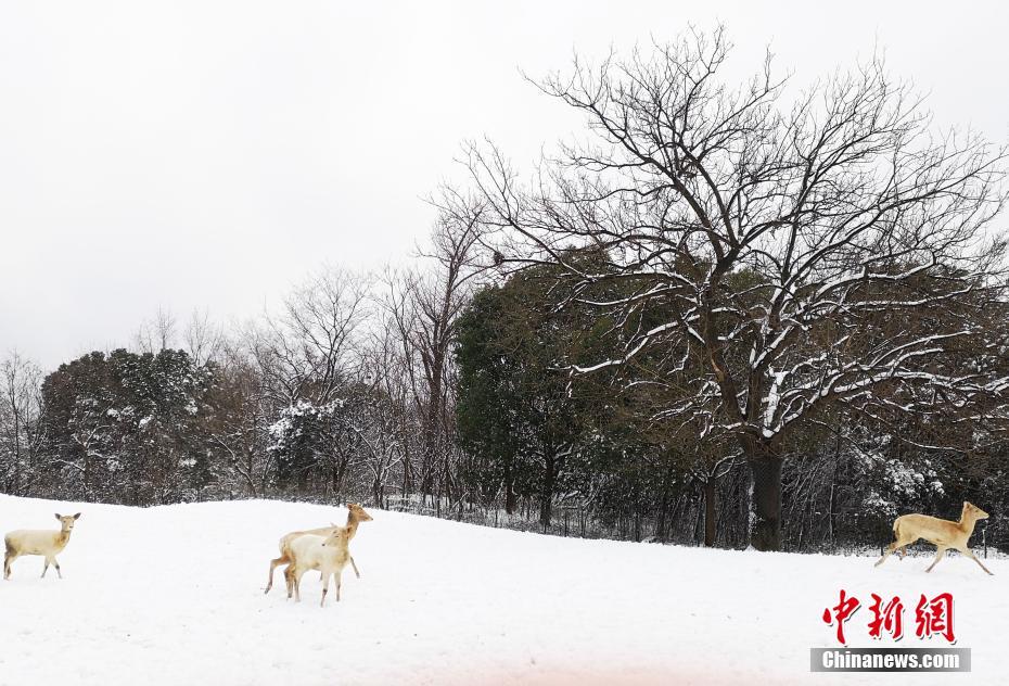 龙<源>技术：,上半年归母净利润2827.96万元，同比增长135.60%