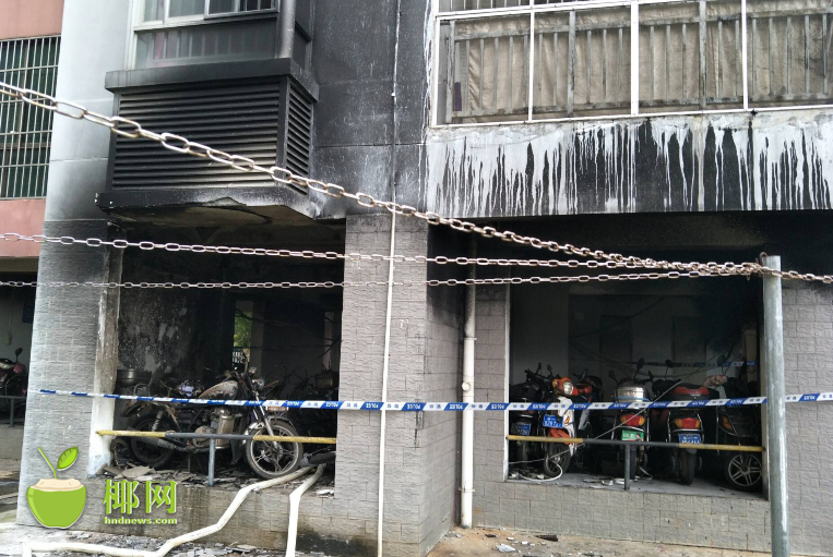 N—CE平台:黄金配置的长期价值与策略分歧