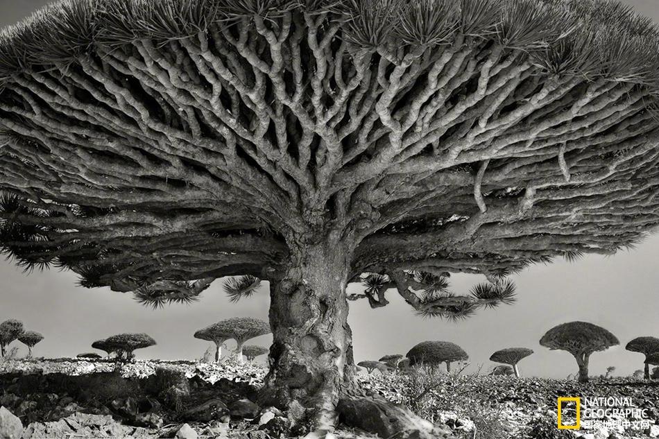 湘财证券：<8>月‘宏’观短周期综合指数有所反弹 A股指数震荡上行