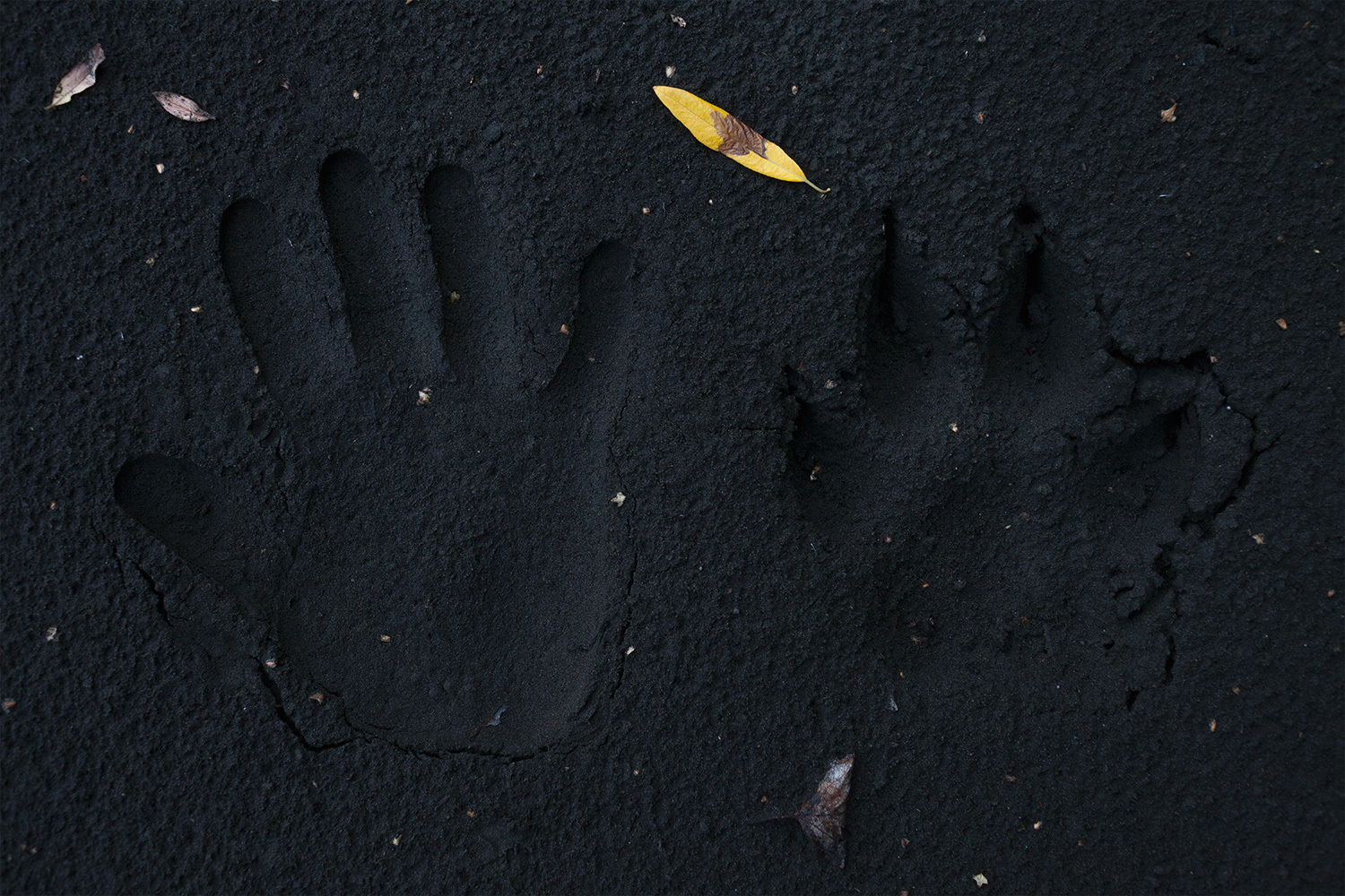 拓展线!上业务，红豆股份加速构建“舒适生活方式”生态