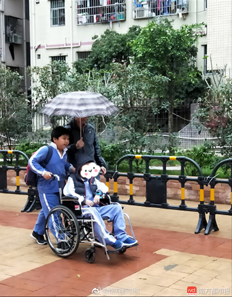 国金证券.：给,予中宠股份买入评级