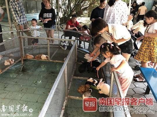 寒武纪!一度跌超10%！发生了什么？