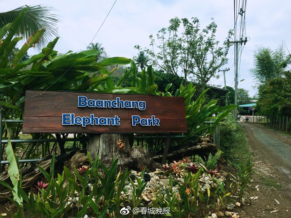 三‘一’重工上半年,净利润增长46%海外收入占比超六成