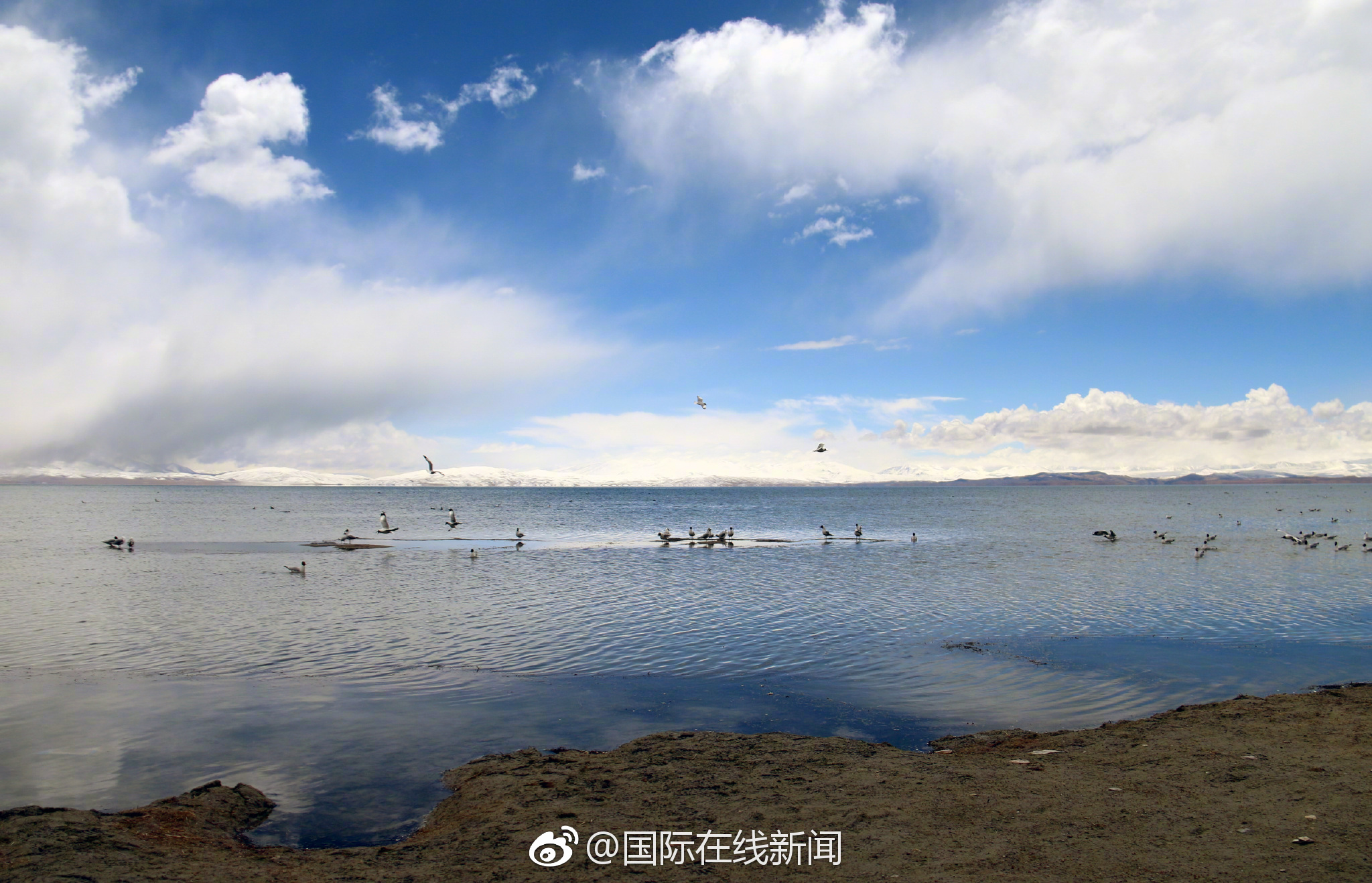 特:斯拉又失两:名高管 Model Y和Model 3项目经理在同一天宣布离职