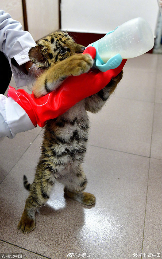 潘森?宏观：欧洲央行不太可能因为三季度增长低迷而降息