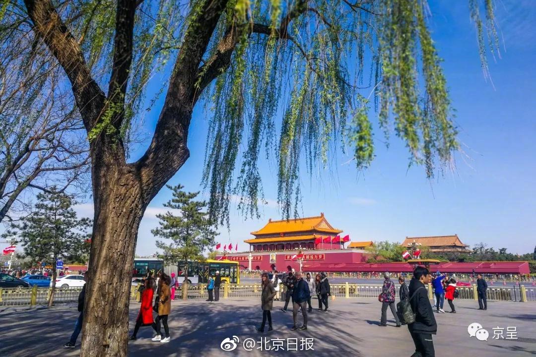 千里科‘技’发布新品牌AFARI，宣布AI战略开启新阶段