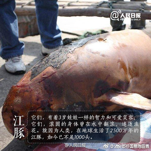 10月理;财产品收益率回升，有预计11月理财规模或增长超3000亿